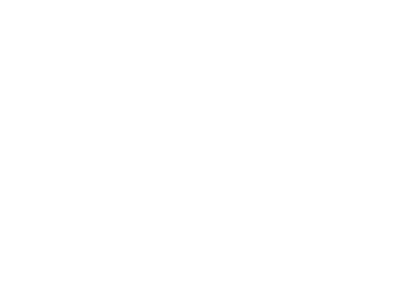 Hoffmann Identifikation.Automation | Scan-Solutions Logo